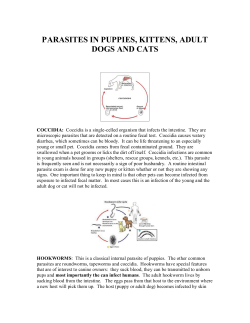 PARASITES IN PUPPIES, KITTENS, ADULT DOGS AND CATS