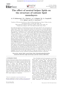 The effect of neutral helper lipids on the structure of cationic lipid