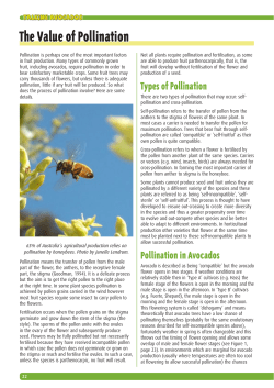 The Value of pollination