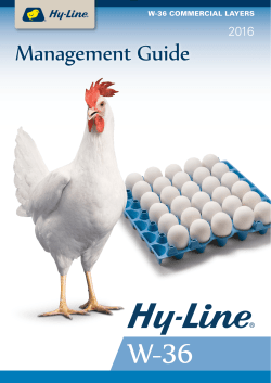Management Guide - Hy
