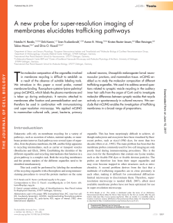 Downloaded - The Journal of Cell Biology