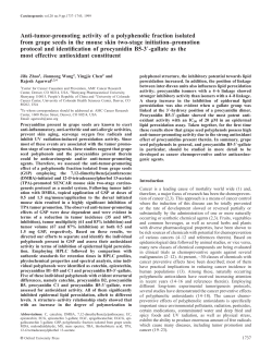 Anti-tumor-promoting activity of a polyphenolic fraction isolated from