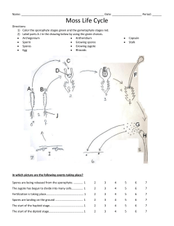 Moss Life Cycle - cloudfront.net