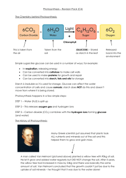 B4 Photosynthesis