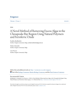 A Novel Method of Removing Excess Algae in the Chesapeake Bay