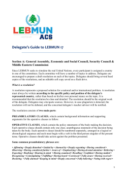 Delegate`s Guide to LEBMUN 17