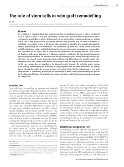 The role of stem cells in vein graft remodelling