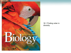 Finding Order in Diversity