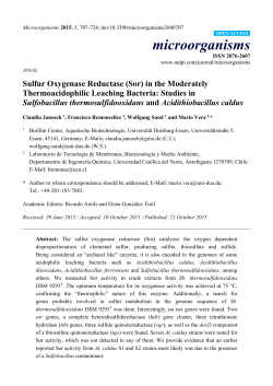 Sulfur Oxygenase Reductase (Sor) in the Moderately
