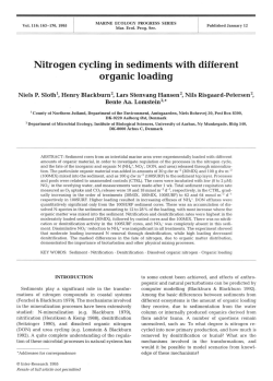 Nitrogen cycling in sediments with different oraanic loadina