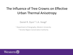 The Influence of Tree Crowns on Effective Urban Thermal Anisotropy
