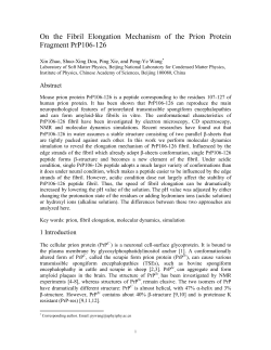 On the Fibril Elongation Mechanism of the Prion