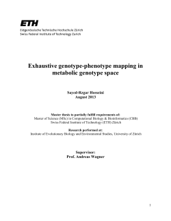 Exhaustive genotype-phenotype mapping in metabolic genotype