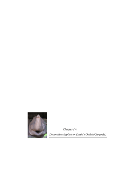 Chapter IV: Decoration Applies on Drain`s Outlet (Gargoyle)