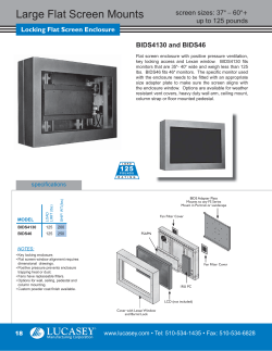 Large Flat Screen Mounts