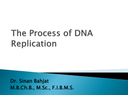 The Process of DNA Replication
