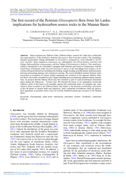 The first record of the Permian Glossopteris flora