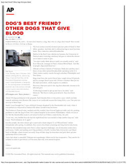 Dog`s best friend? Other dogs that give blood