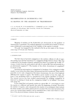 Printed in The Netherlands 505 RECOMBINATION IN