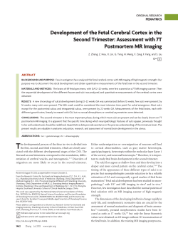 Development of the Fetal Cerebral Cortex in the Second Trimester