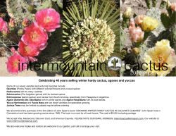 Cactus Price List 2016