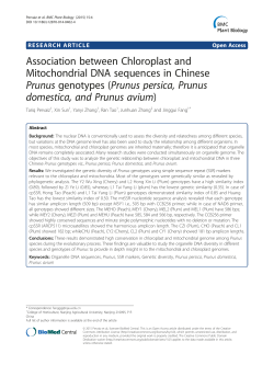 Association between Chloroplast and Mitochondrial DNA