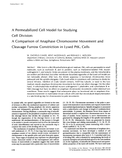 A Permeabilized Cell Model for Studying Cell Division : A