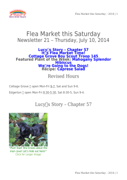 Flea Market this Saturday