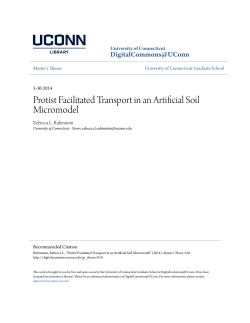 Protist Facilitated Transport in an Artificial Soil Micromodel