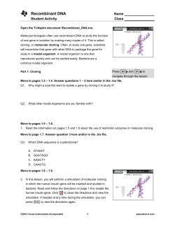 Summary of lesson - TI Education
