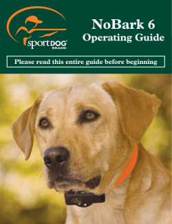 NoBark 6