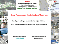 Ridesa Bioen Workshop on Metabolomics of Sugarcane