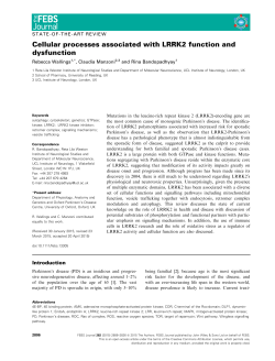 Cellular processes associated with LRRK2 function and dysfunction