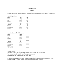 Cost Analysis Granola