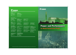 Power and Performance for Waste Incineration Plants