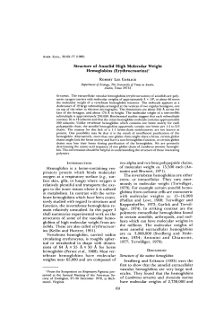 Structure of Annelid High Molecular Weight