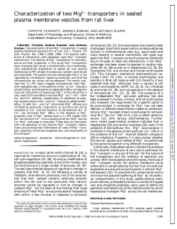 Characterization of two Mg2 transporters in sealed - AJP-Cell