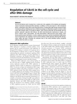 Regulation of Cdc45 in the cell cycle and after DNA damage