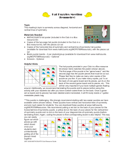 Hat Puzzles Meeting (Symmetry)