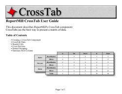 CrossTabs - ReportMill