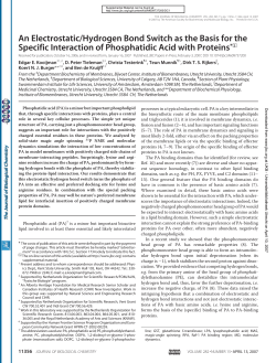 An Electrostatic/Hydrogen Bond Switch as the Basis for the Specific