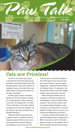 Cats are Priceless! - Humane Society Tacoma