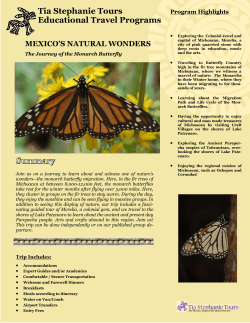 Tia Stephanie Tours Educational Travel Programs MEXICO`S