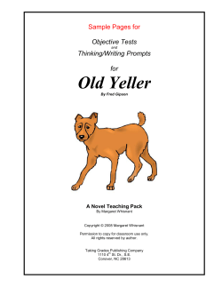 Old Yeller - Taking Grades Publishing Company