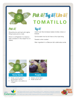Pick It! Try It! Like It! Tomatillo