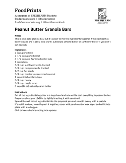 FoodPrints Peanut Butter Granola Bars