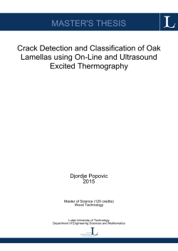Crack Detection and Classification of Oak Lamellas using On