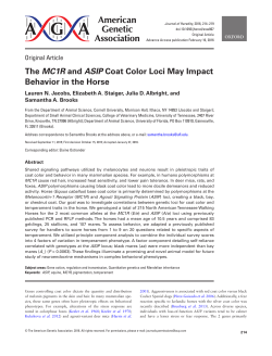 The MC1R and ASIP coat color loci may impact behavior in the horse