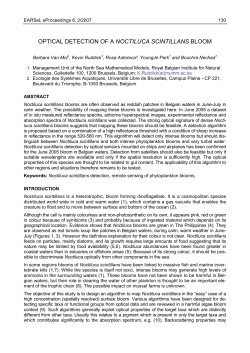 Optical detection of a Noctiluca Scintillans bloom