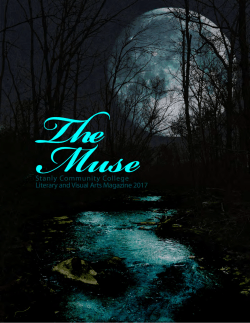 The Muse 2017 Issue - Stanly Community College